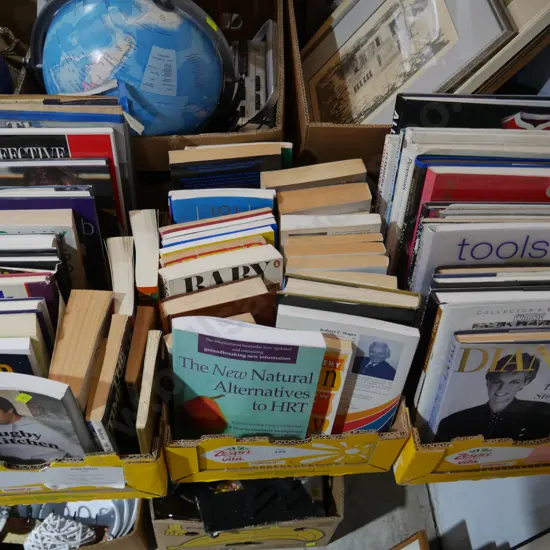 Three boxes of books