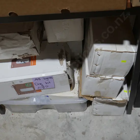 Assorted light fittings etc
