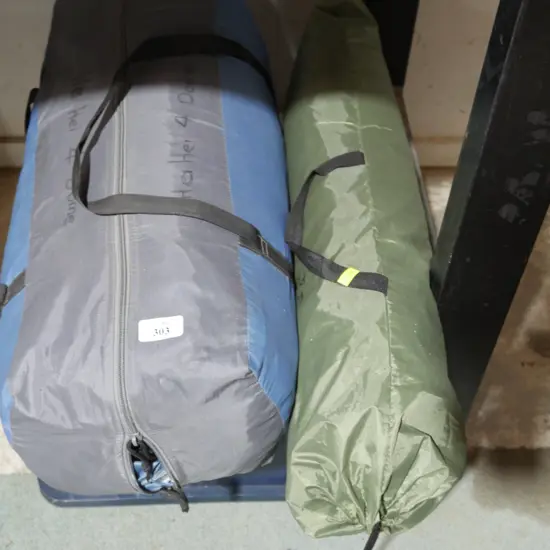 Dome tent and plant shelter