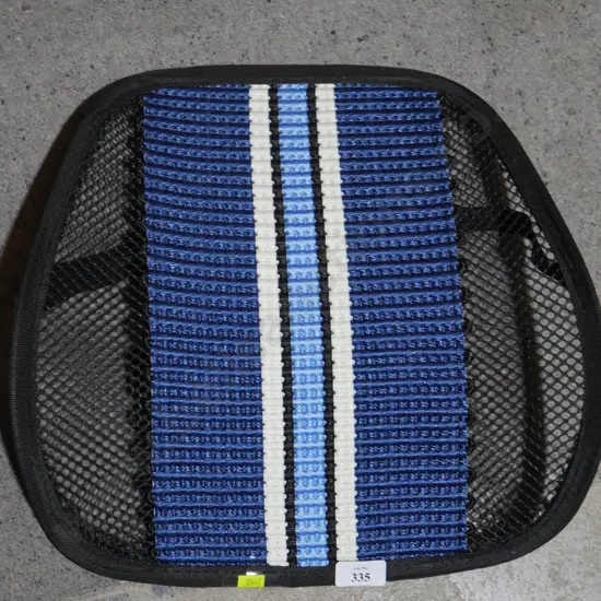 Back support
