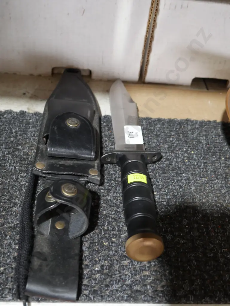 Knife and sheath Image 1++