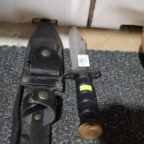 Knife and sheath