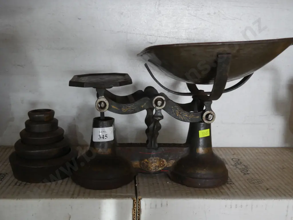 Scale and weights Image 1++