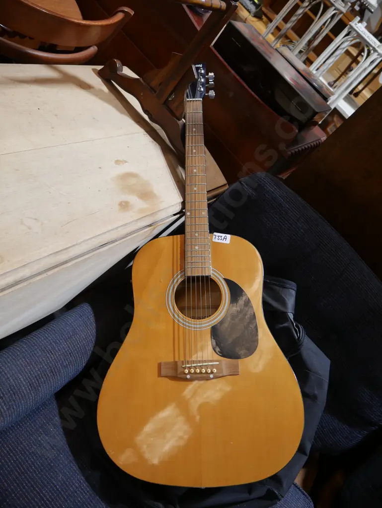 Legion guitar and bag Image 1++