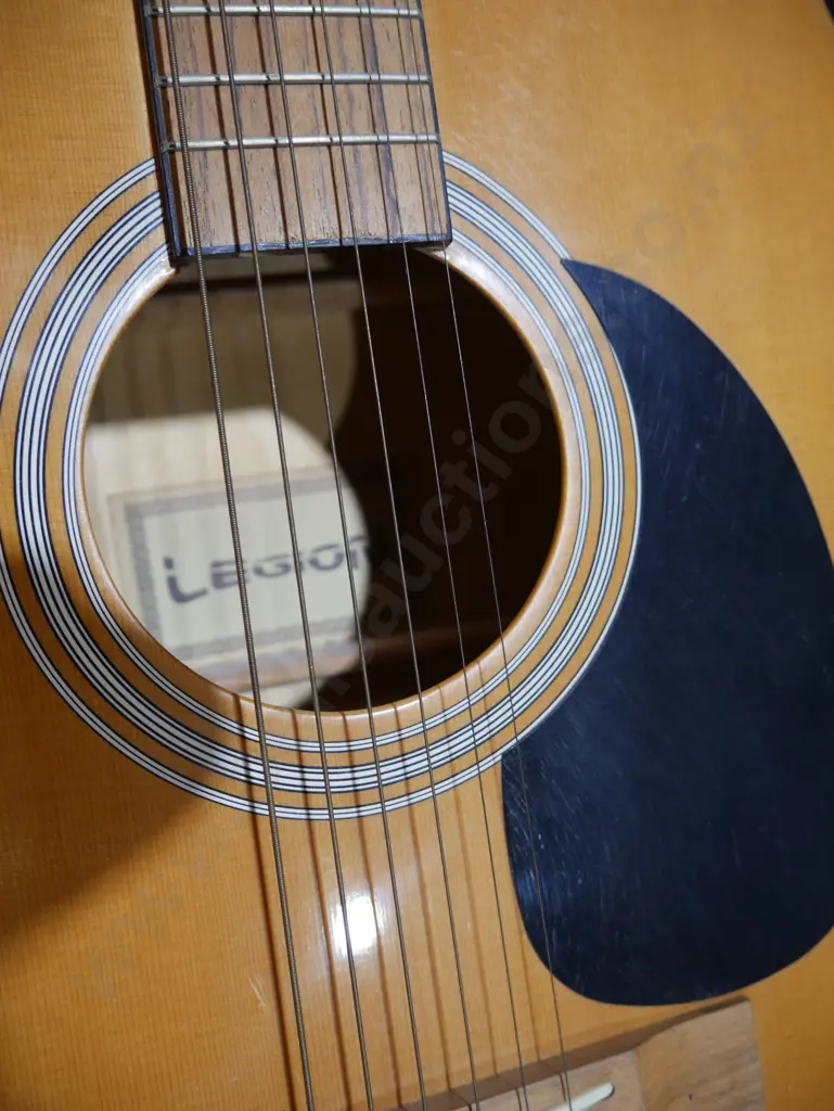 Legion guitar and bag Image 1++