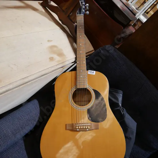 Legion guitar and bag