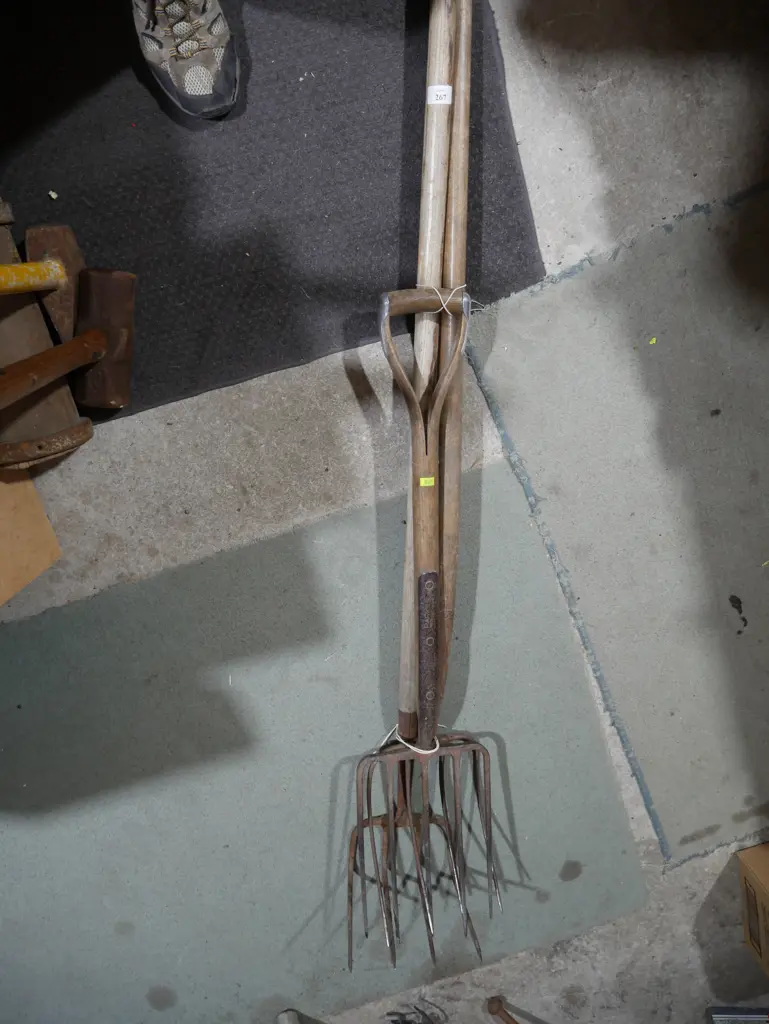 Garden forks Image 1++
