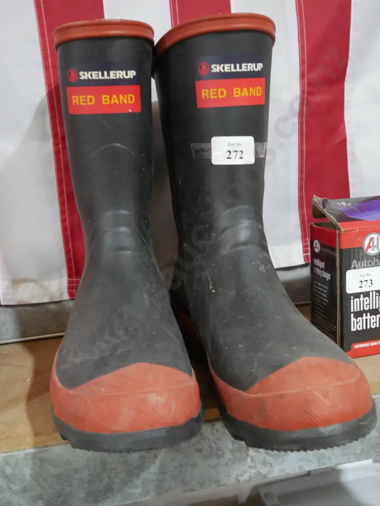 Pair of gumboots Image 1++