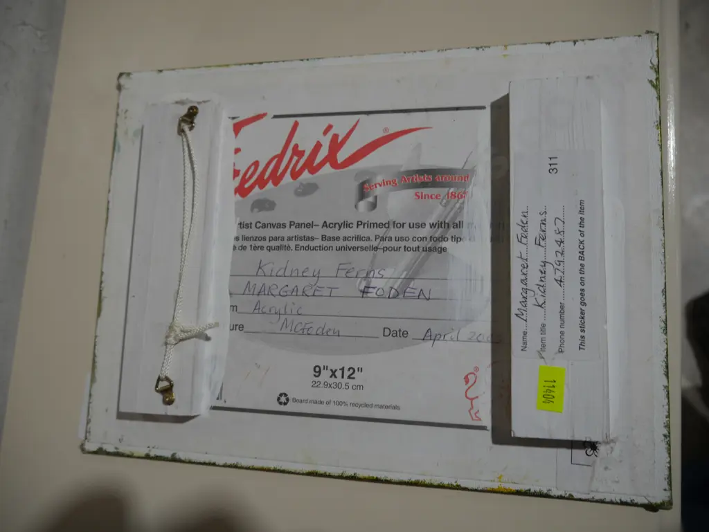 Paintings kidney ferns Image 1++