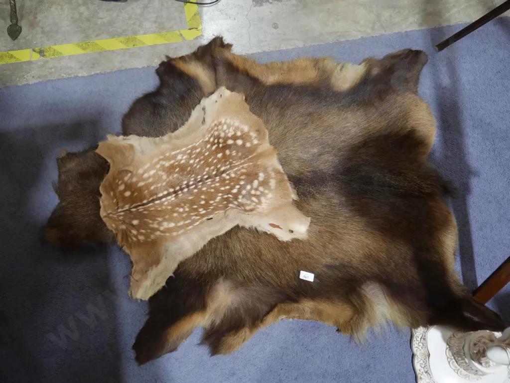 Fur pelts Image 1++