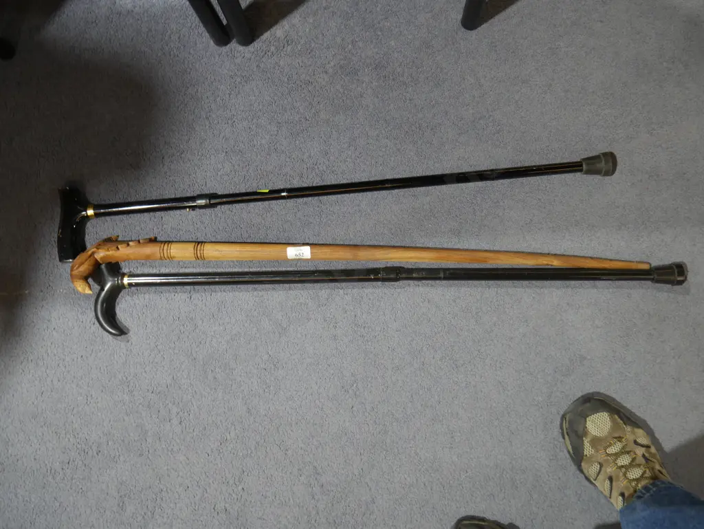 Walking sticks Image 1++