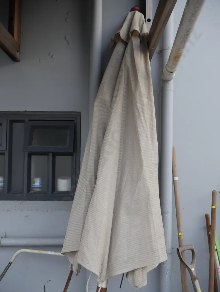 Umbrella Image 1++
