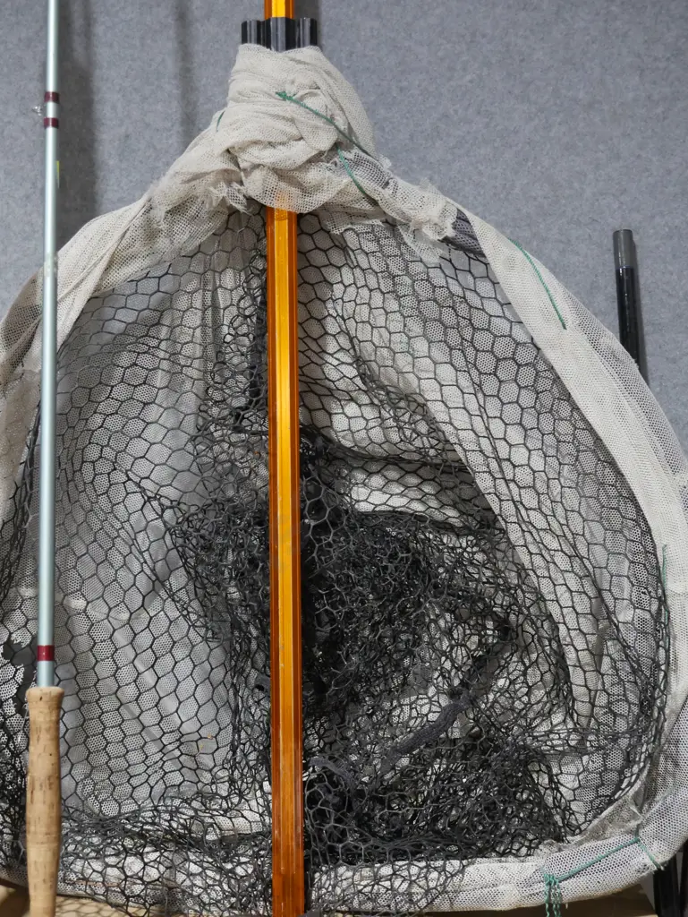 Landing net Image 1++