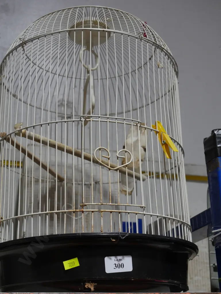 Birdcage Image 1++