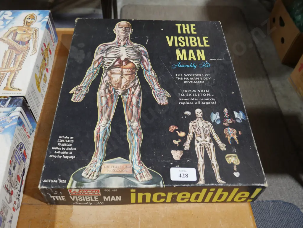 Visible man Image 1++