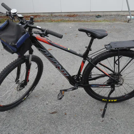 Avanti bike
