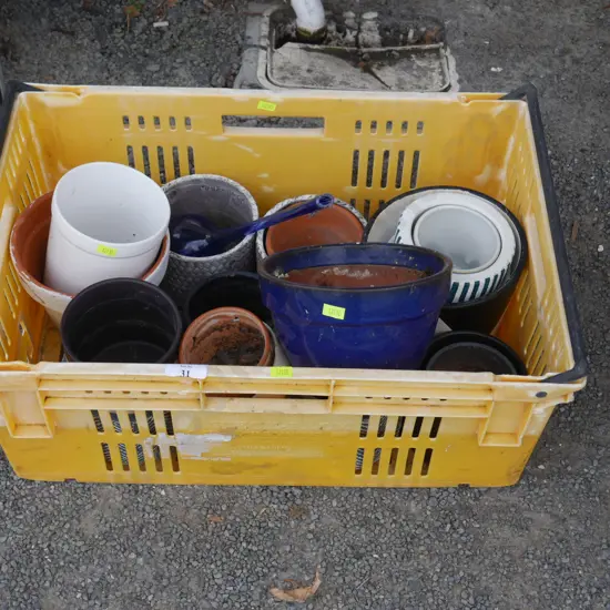Assorted plant pots