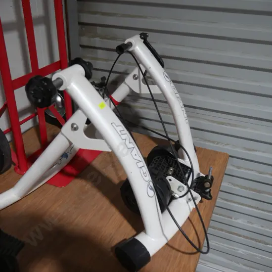 Giant bike trainer