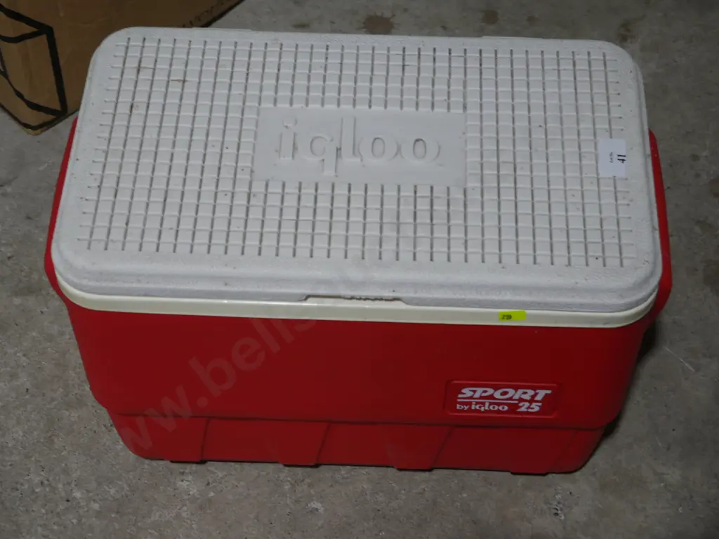 Igloo chilly bin Image 1++