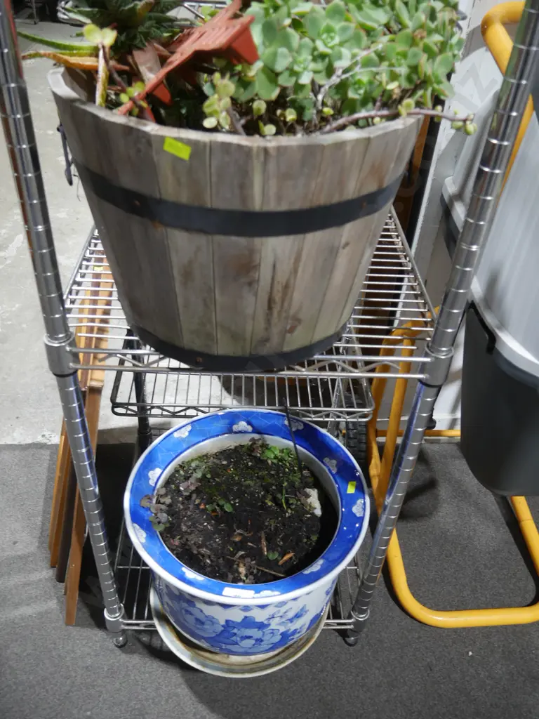 2 plant pots Image 1++
