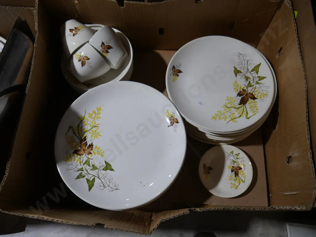 Crown Lynn autumn splendor dinnerware Image 1++