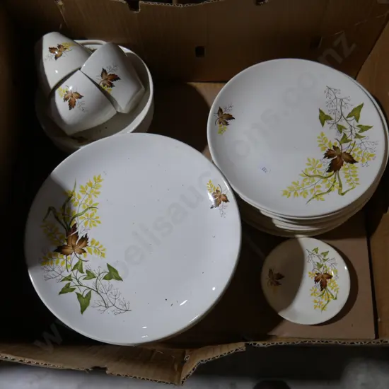 Crown Lynn autumn splendor dinnerware