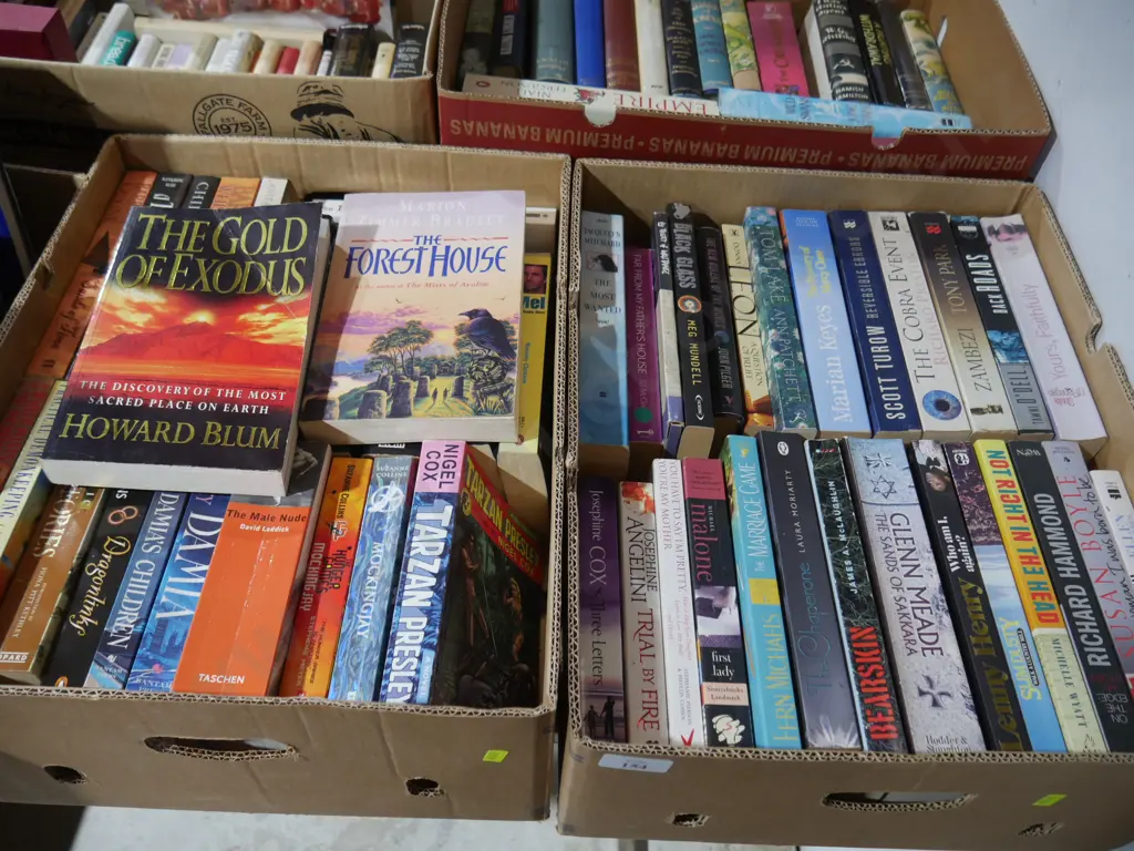 2 boxes of books Image 1++