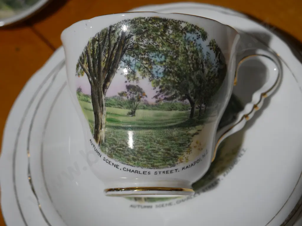Royal Stafford Charles Street Kaiapoi autumn scene trio & dish Image 1++