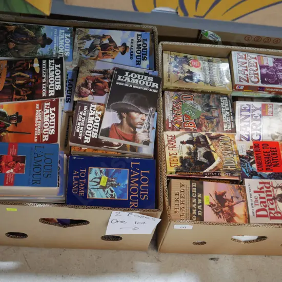 Two boxes of books