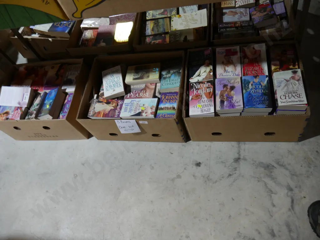 Three boxes of books Image 1++