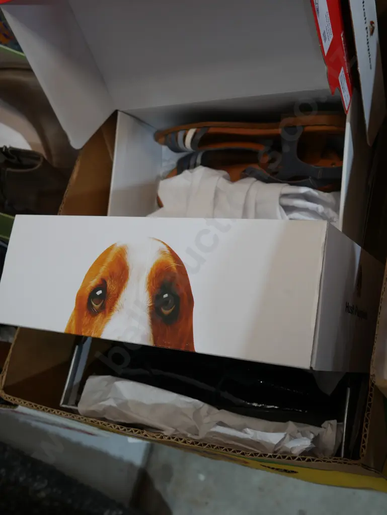 Box of shoes Image 1++