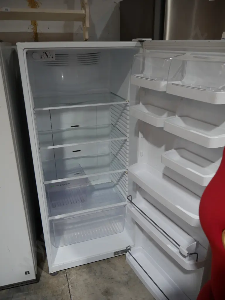 Fisher & Paykel fridge Image 1++