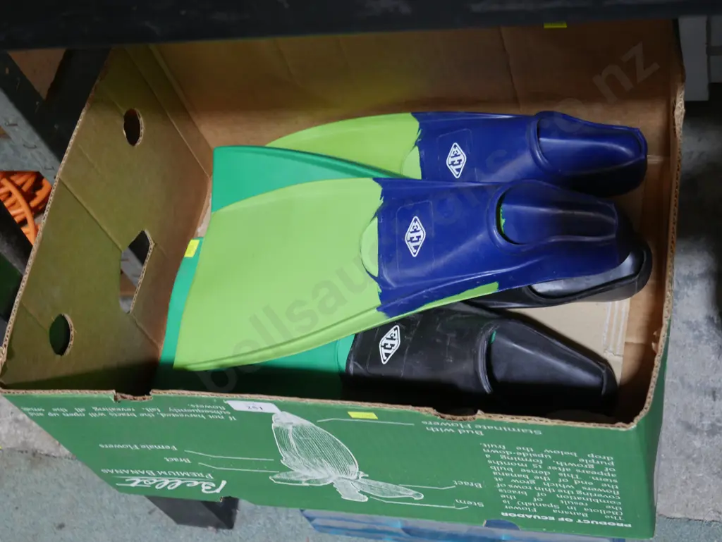 Flippers etc Image 1++