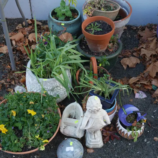 Potted plants and garden figurines