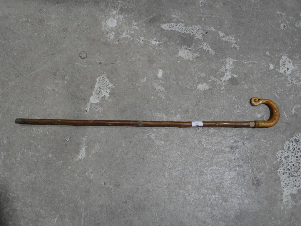 Walking stick Image 1++