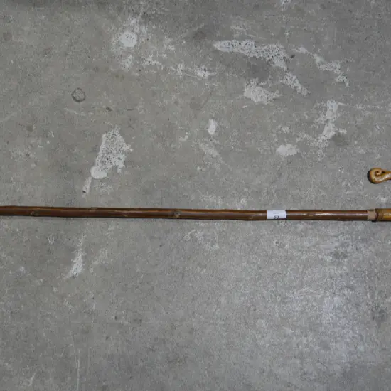 Walking stick