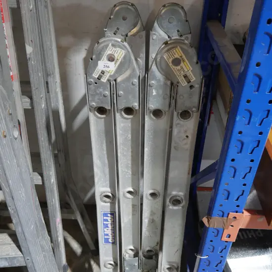 Folding ladder