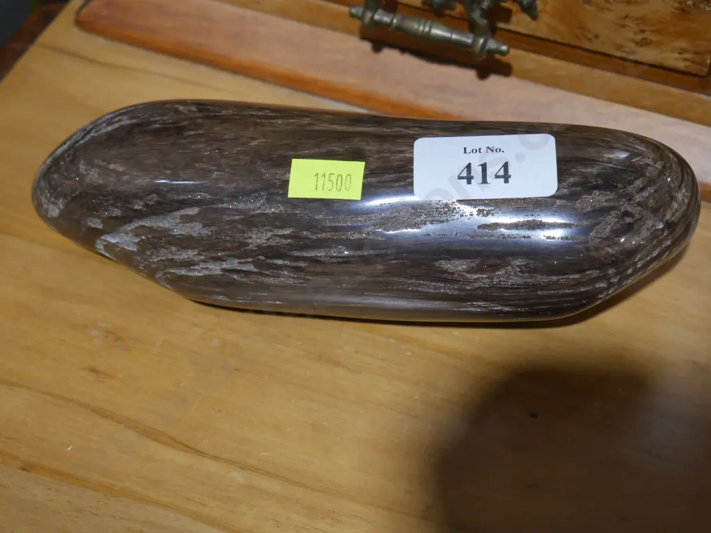 Petrified wood Image 1++