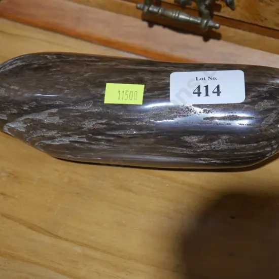 Petrified wood