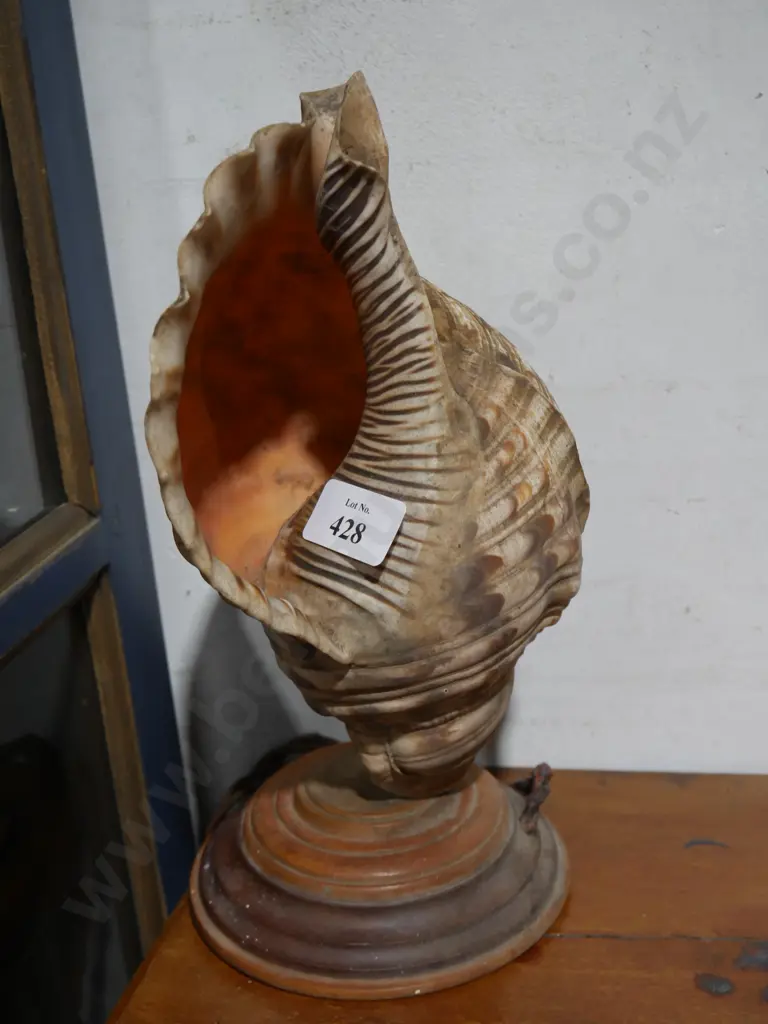 Shell lamp Image 1++