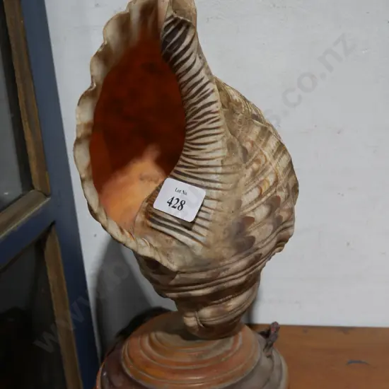 Shell lamp