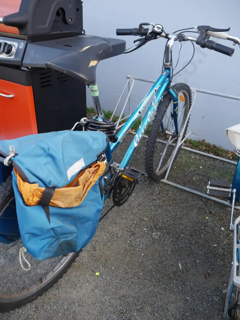 Ladies bike Image 1++