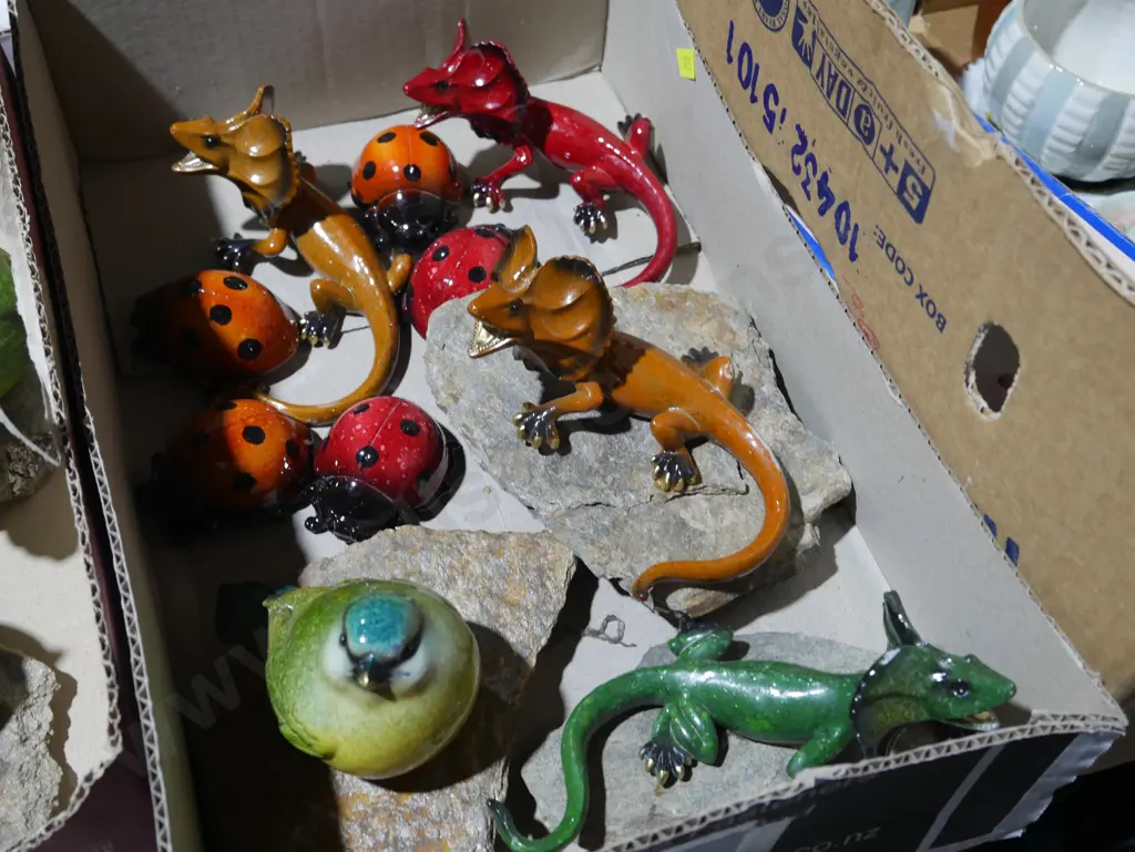 Lady bug, lizards etc Image 1++