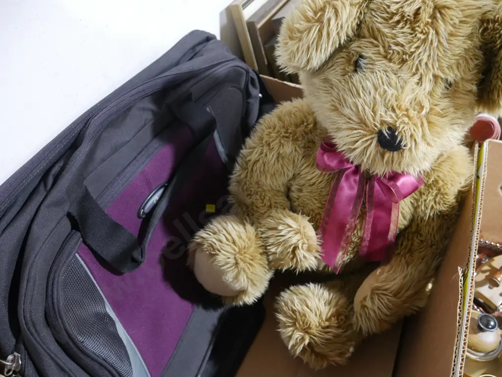 Bear , bag Image 1++