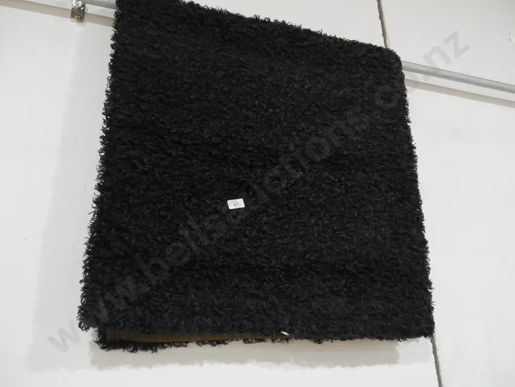 Rug Image 1++
