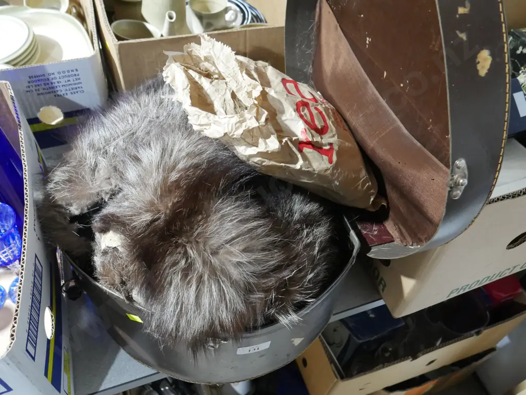 Hat box and furs Image 1++