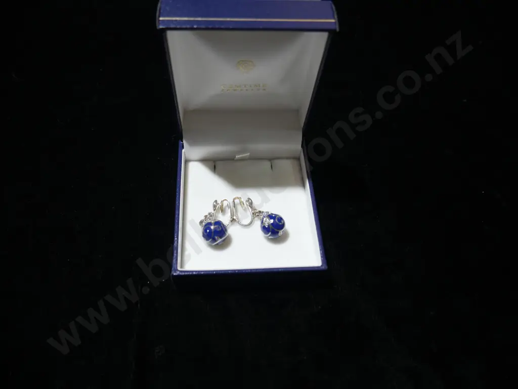 Pair earrings Image 1++