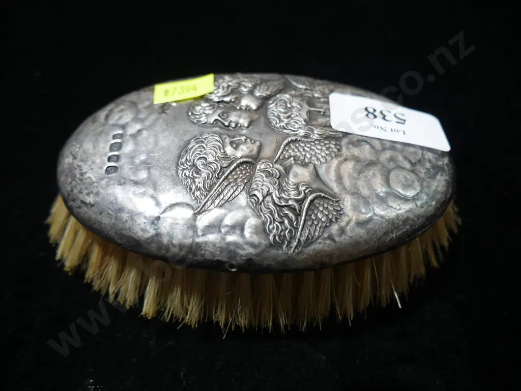 Silver back brush Image 1++