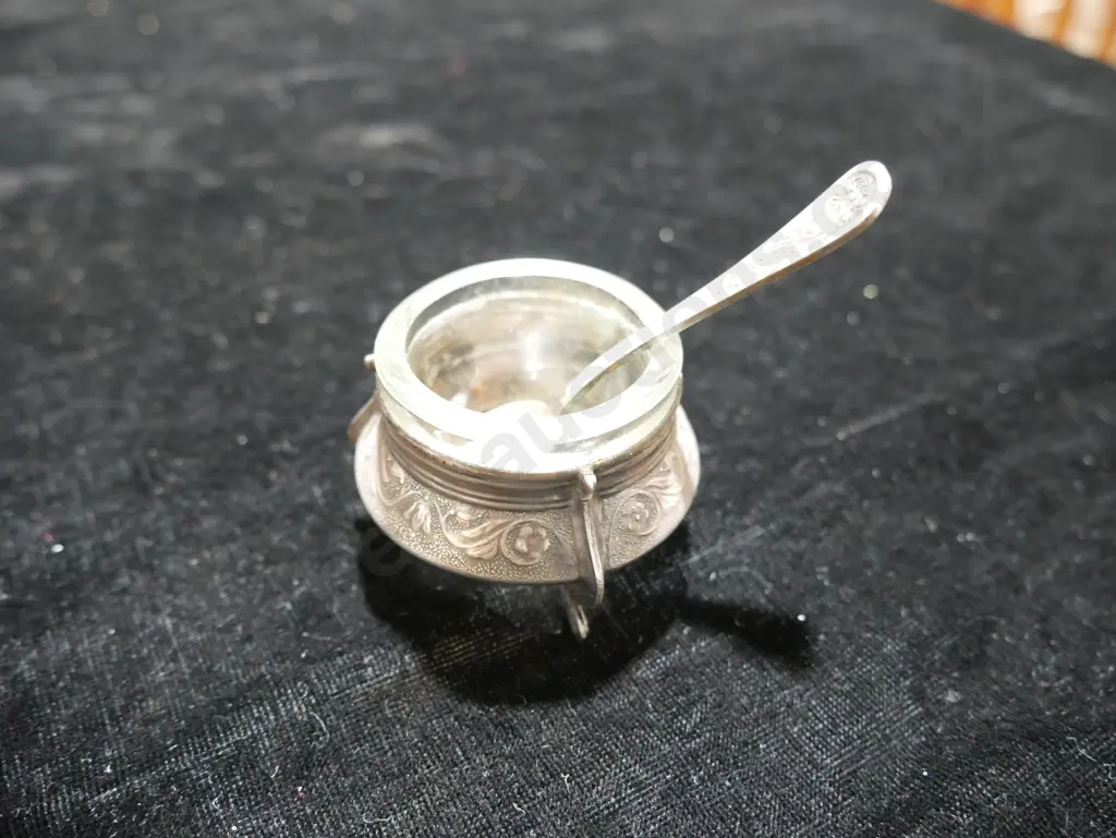 Silver open salt Image 1++