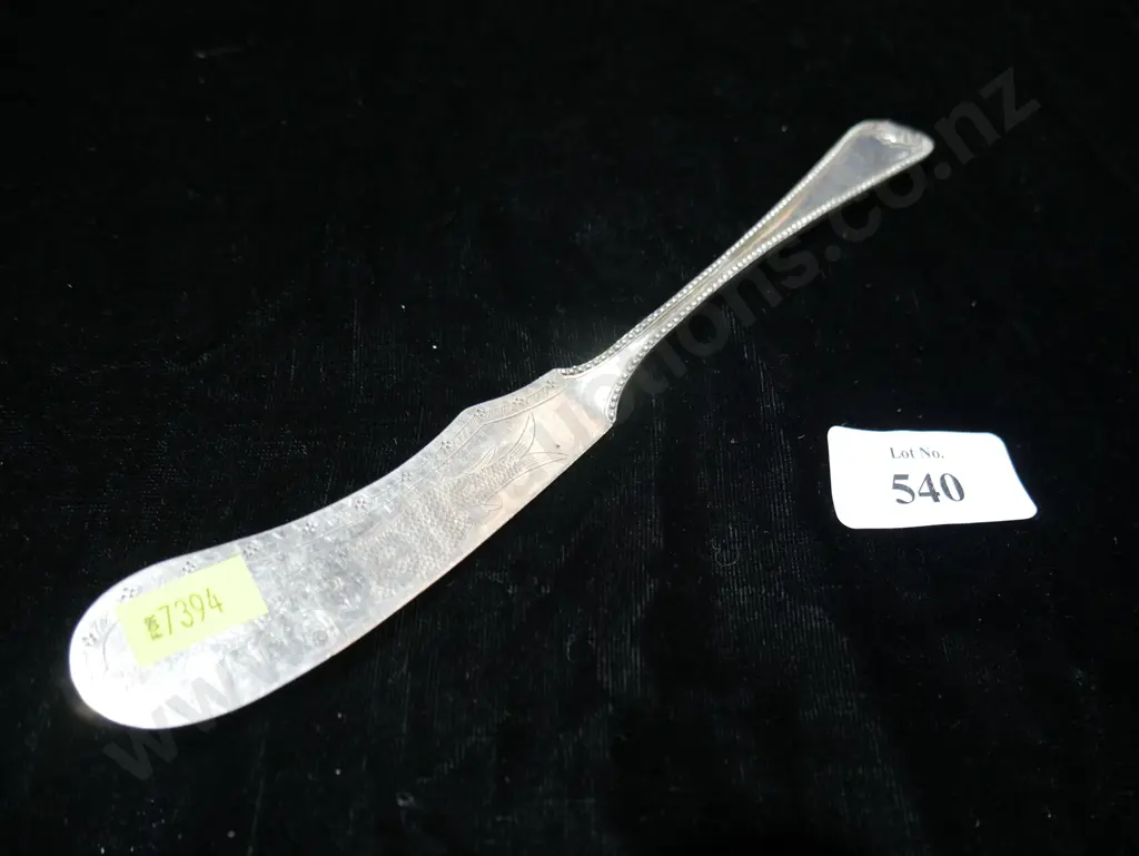 Silver fish slice Image 1++